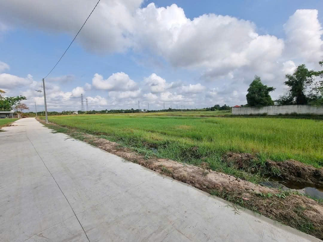 Bán đất 1991.1m² ngang 117m giá 110 triệu tại Xã Hòa Khánh Tây Huyện Đức Hòa