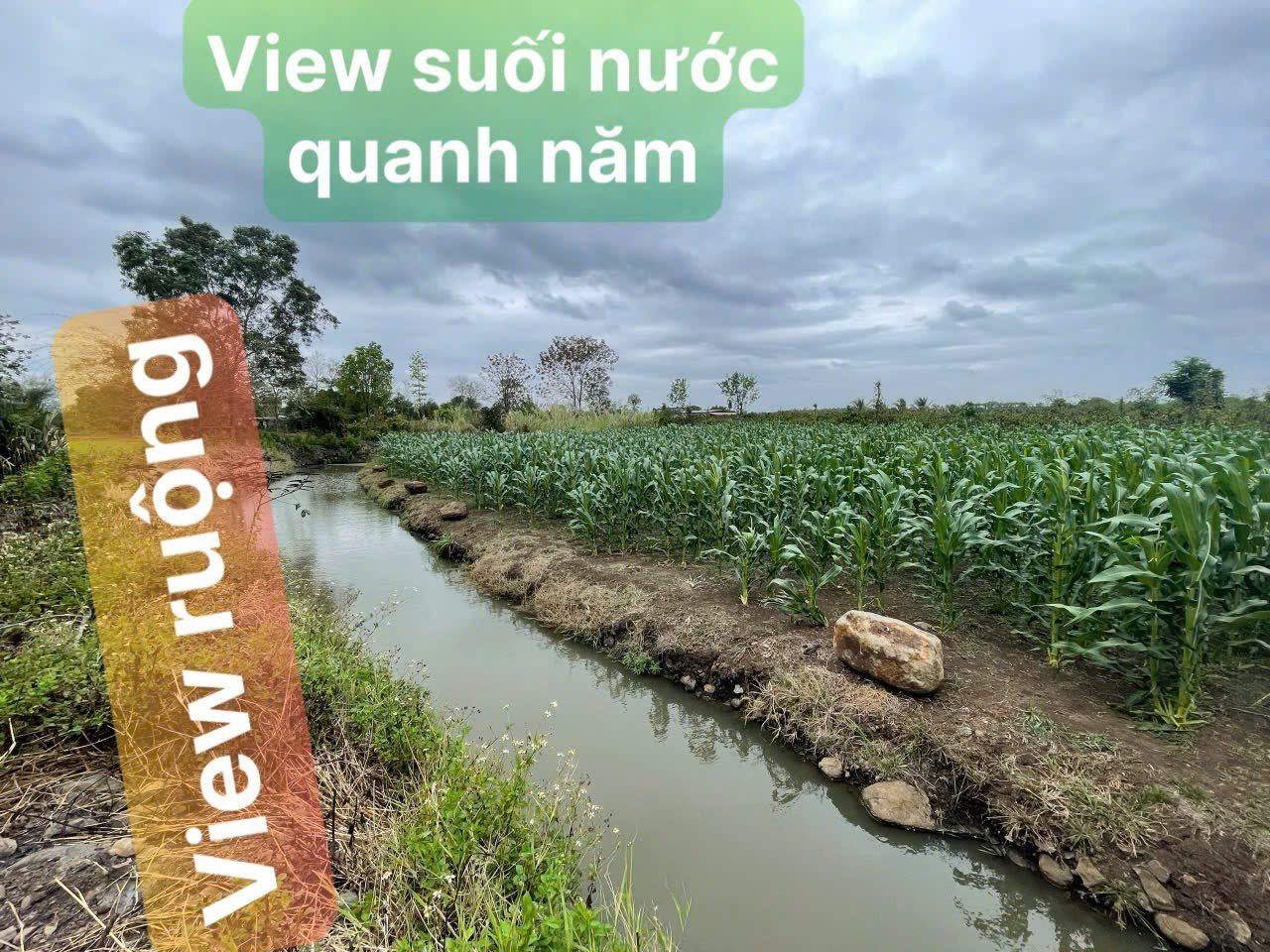 Bán đất 3379.5m² 1.27 tỷ tại Xã Hòa Khánh Thành phố Buôn Ma Thuột