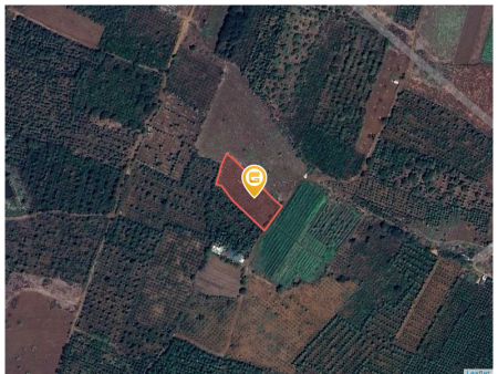 Bán đất 1856.1m² 1.15 tỷ tại Xã Hòa Khánh Thành phố Buôn Ma Thuột