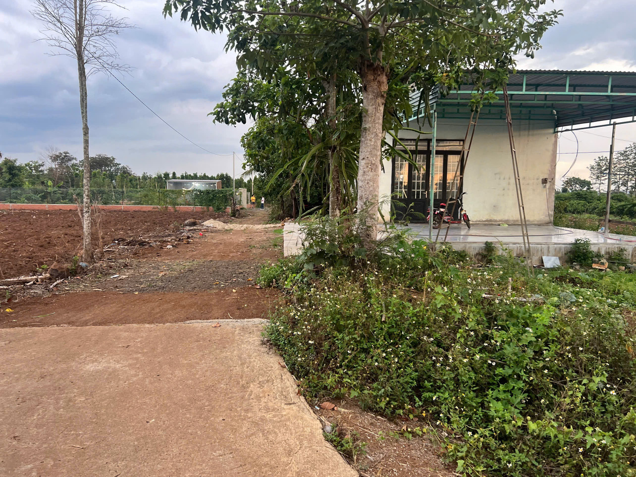 Bán đất 561.6m² 450 triệu tại Xã Hòa Khánh Thành phố Buôn Ma Thuột
