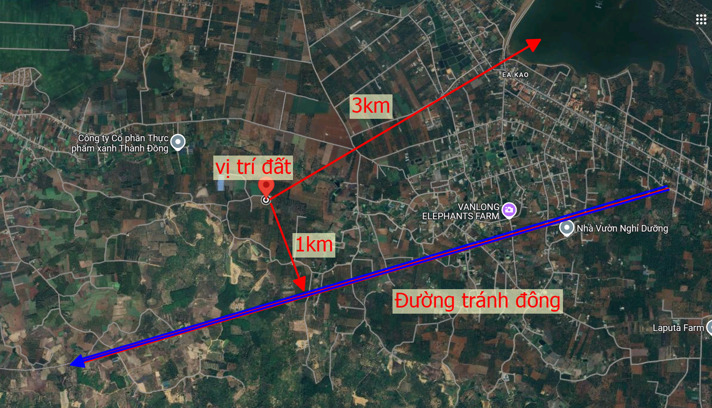 Bán đất 6245m² rẫy cà phê, 2.05 tỷ, cách tránh đông 1km, cách hồ eakao 3km