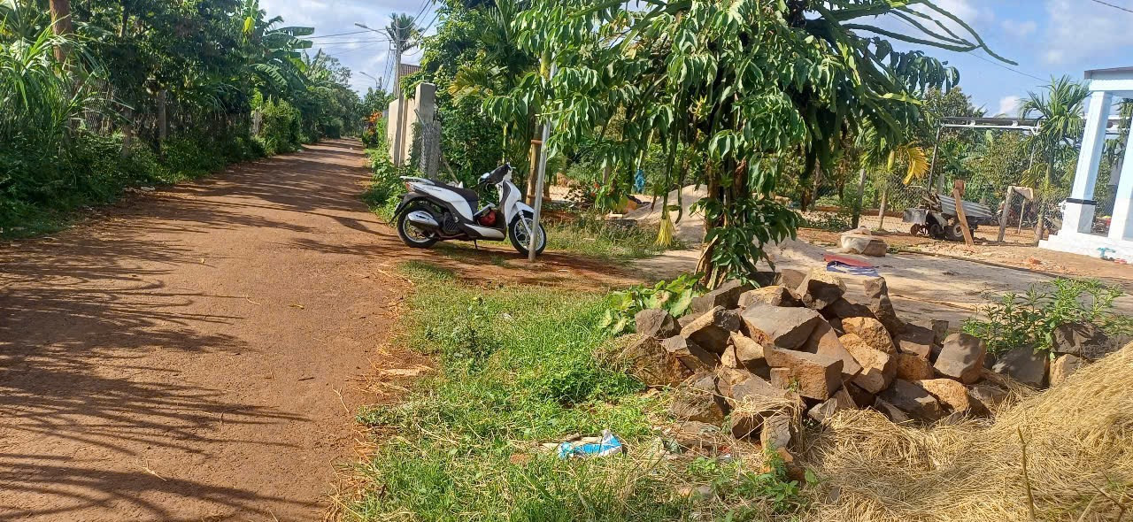 Bán đất 150m² ngang 6m giá 589 triệu tại Xã Hòa Khánh Thành phố Buôn Ma Thuột