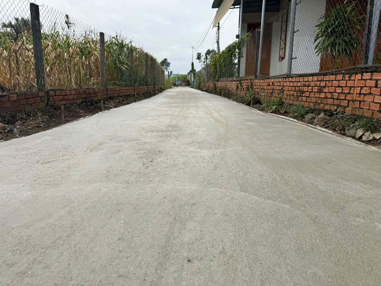 bán 2 lô đất tại Thôn 2 Hoà Khánh , khu dân cư đông đúc diện tích 100m2 5m giá 550tr