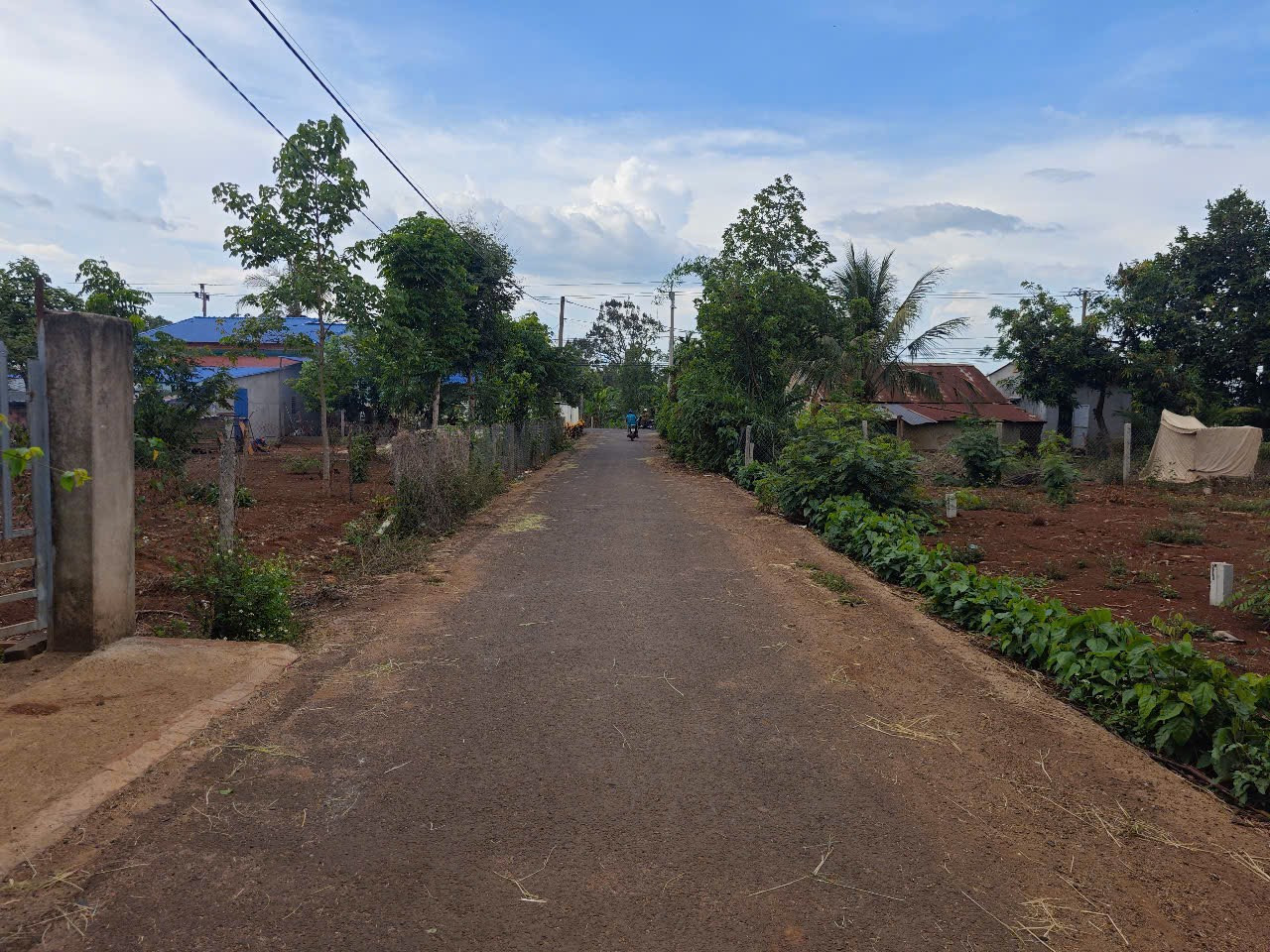 BÁN ĐẤT MẶT TIỀN ĐƯỜNG NHỰA : 134,5m2 699 TRIỆU TẠI XÃ HOÀ KHÁNH TP BUÔN MA THUỘT.