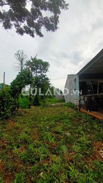 Cần bán đất chợ Đoàn kết 5*67 giá 1.1 , xã Hoà Khánh, TP Buôn Ma Thuột