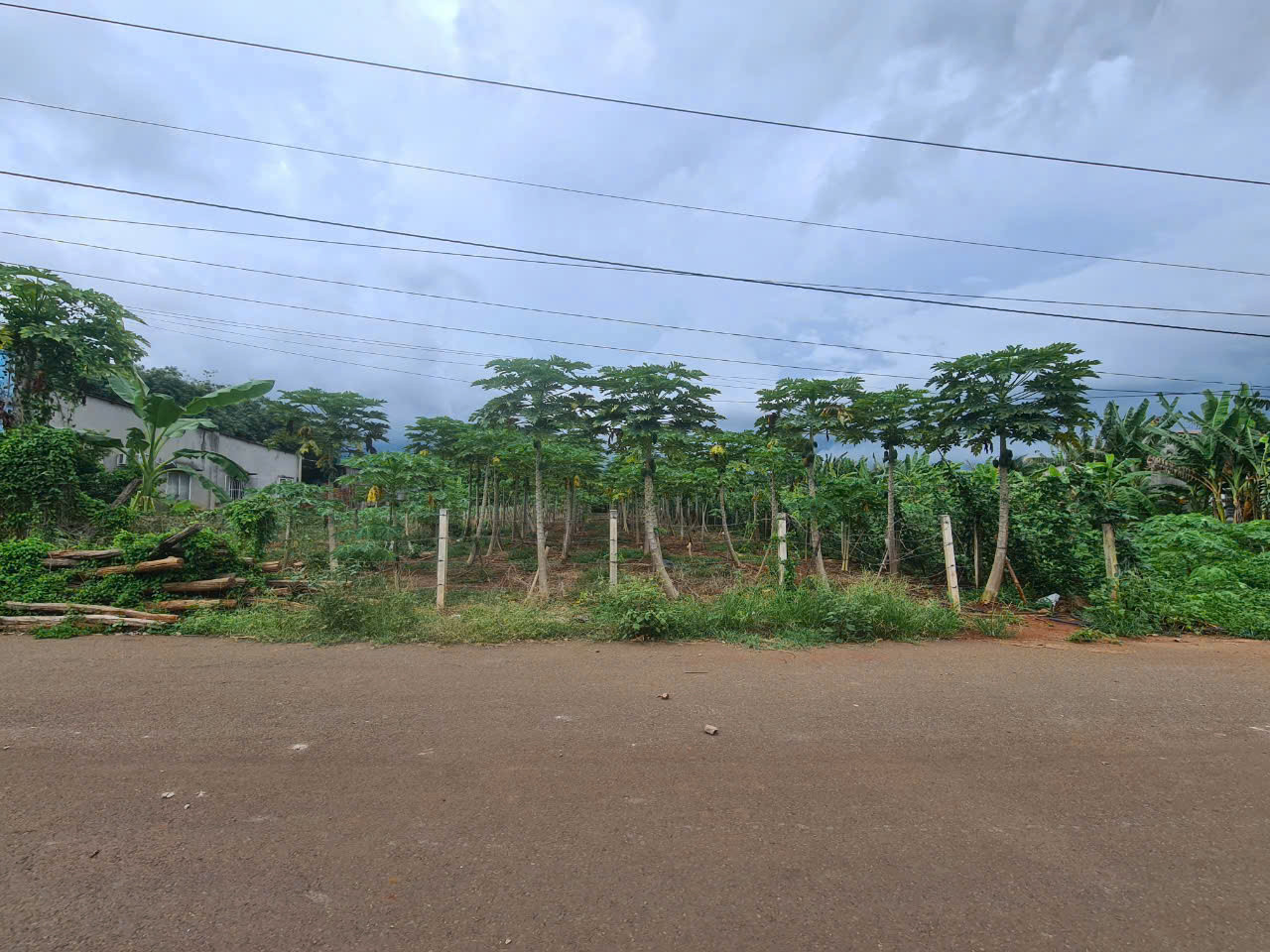 🎯 CẦN BÁN LÔ ĐẤT ĐẸP – DIỆN TÍCH 1.008 m² – XÃ HÒA LONG, TP. BÀ RỊA