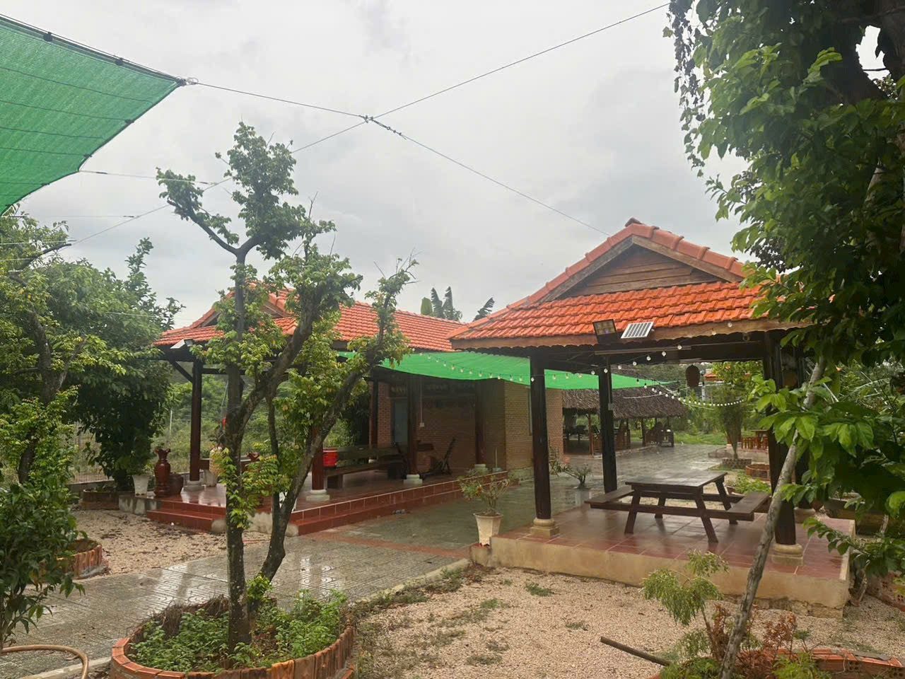 Nhà vườn phường tam long tphcm 
Ngang 16m x72 m dt 1000m 
Đả làm nhà vườn đầy đủ vườn cây ăn trái 
5 căn nhà gổ từng khu