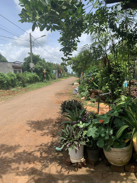 Đất đường Nhựa liên thôn KBU Hòa Khánh 179m² ngang 5m giá 548 triệu Xã Hòa Phú