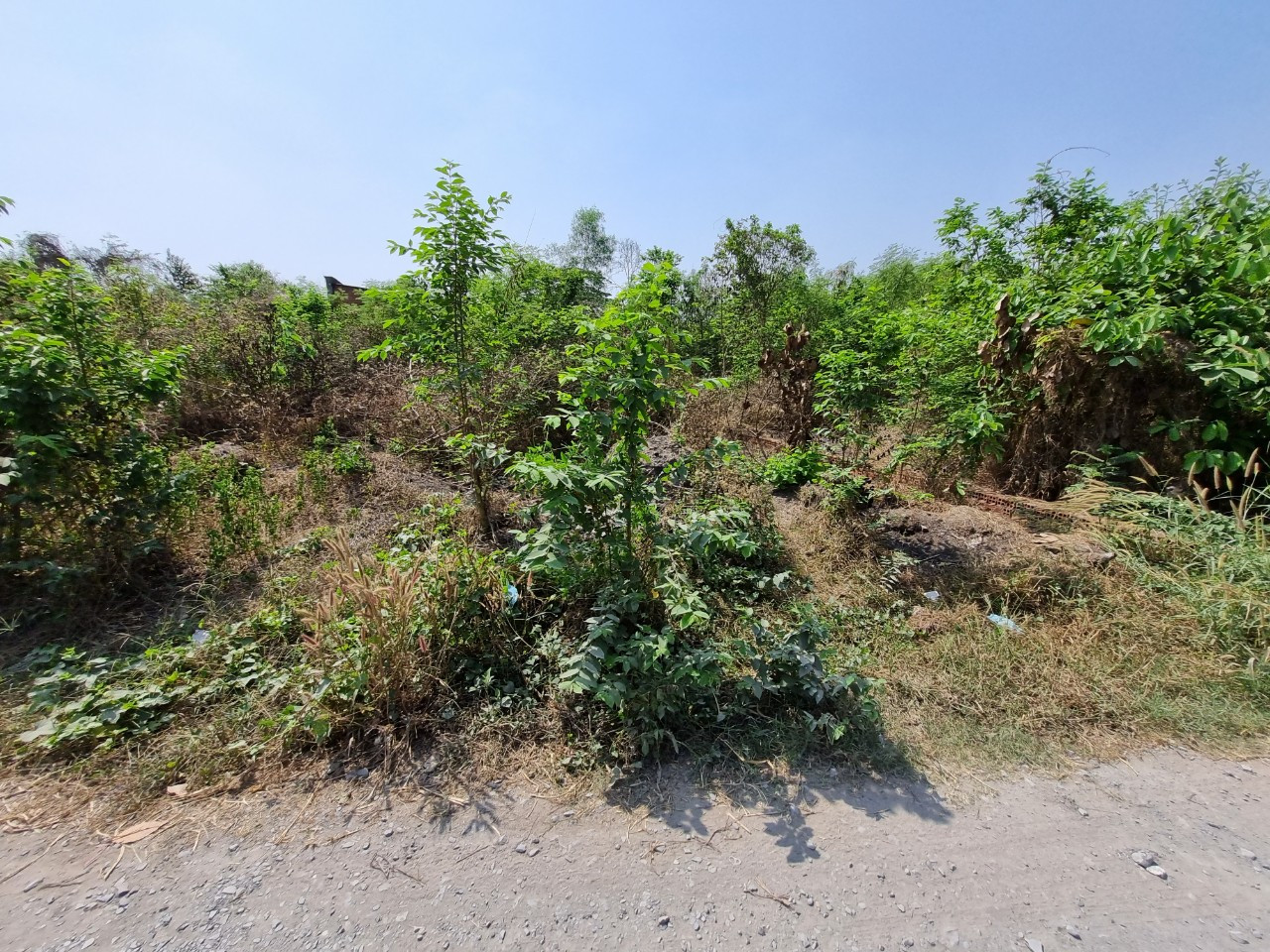 (S235) Đất 2/ Sông Lu, Hòa Phú, DT 132m2, full thổ , chỉ 1 tỷ 500