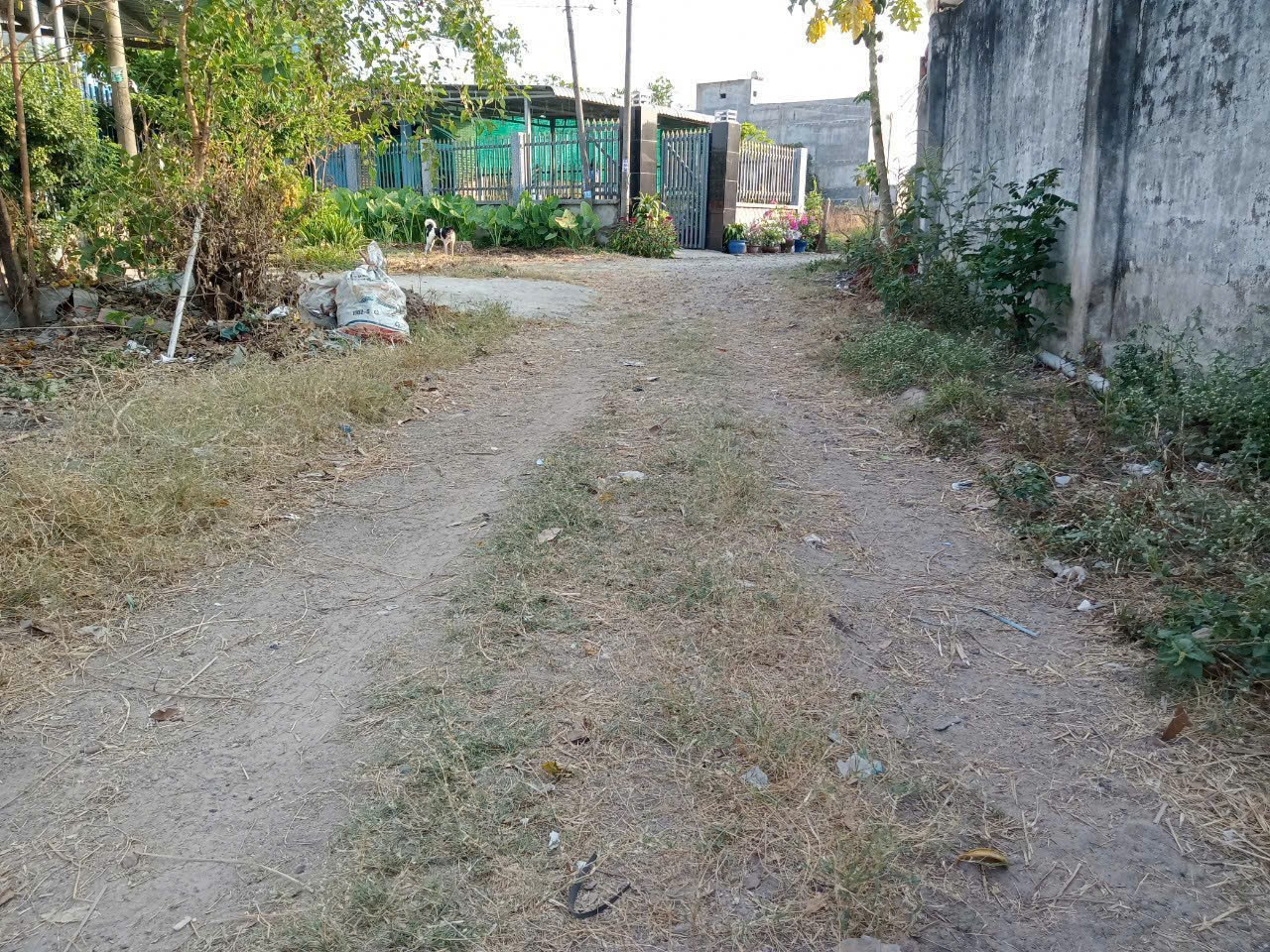 Bán đất 113,9m² 1.45 tỷ tại Xã Hòa Phú Huyện Củ Chi