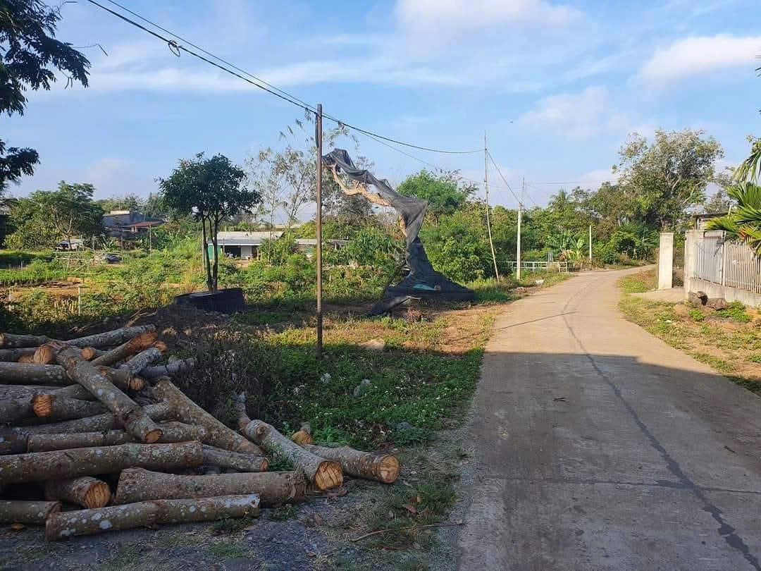 Bán đất 356.7m² 1.55 tỷ tại Xã Hòa Phú Thành phố Buôn Ma Thuột