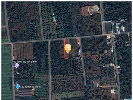 Bán đất 1005.2m² 850 triệu tại Xã Hòa Thắng Thành phố Buôn Ma Thuột