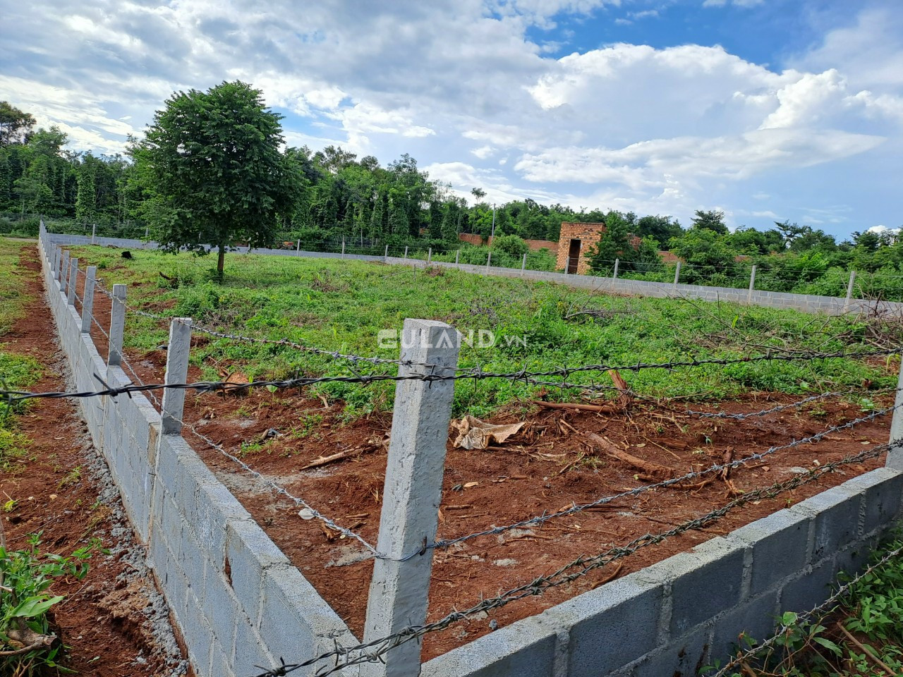 Bán  đất nông nghiệp 500m² , giá 1.2 tỷ tại, Xã Hòa Thắng, Thành phố Buôn Ma Thuột, Đắk Lắk