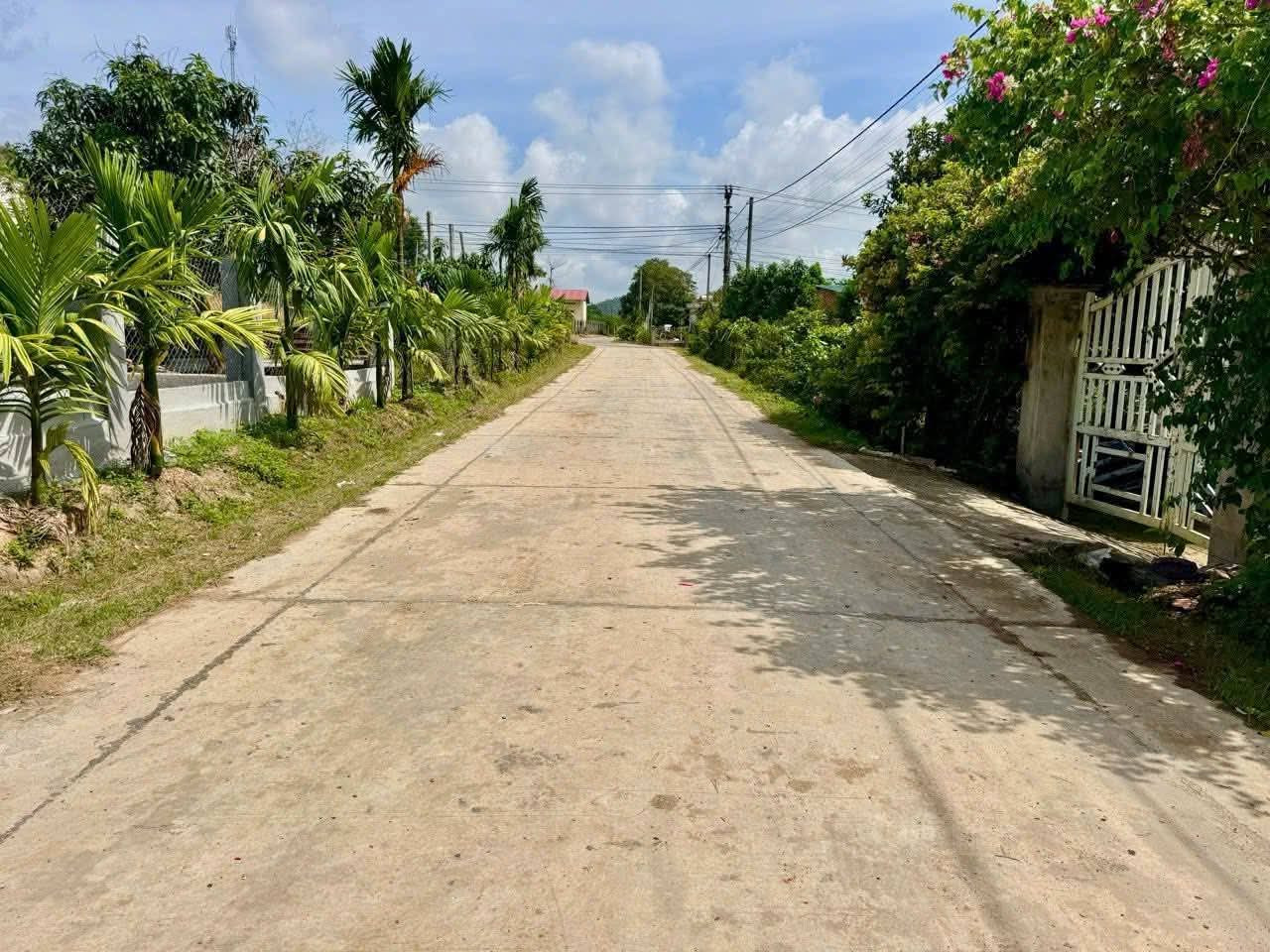 Đất thổ cư 280m² ngang 7m giá 200 triệu tại Xã Hòa Thành Huyện Krông Bông