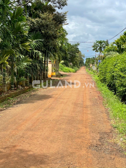 [1.5 tỷ]🏡🏡BÁN LÔ ĐẤT ĐẸP 10*48  LÀM NHÀ VƯỜN HOÀ THUẬN ĐẠT LÝ 🏡🏡