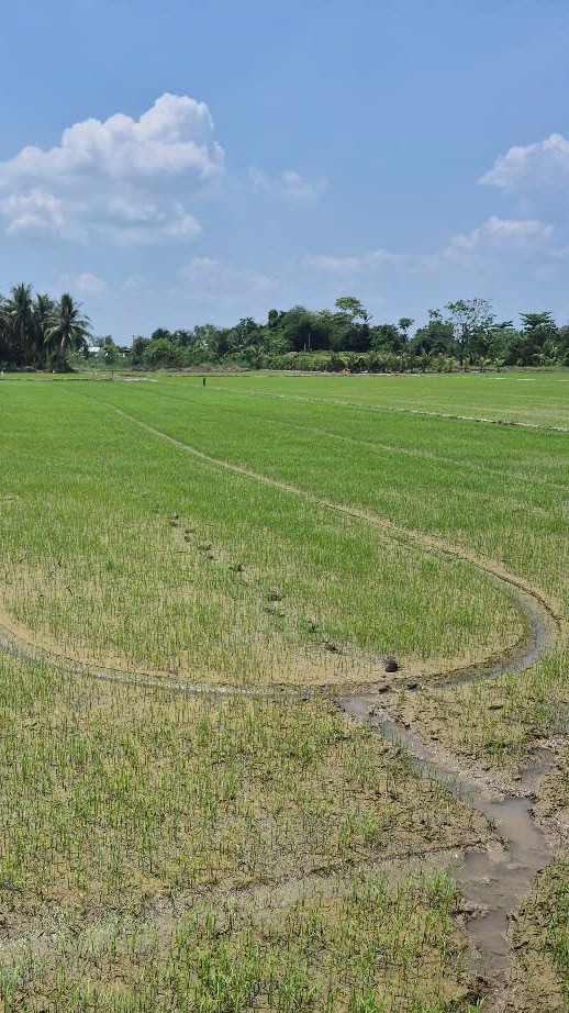 Tuyến tránh quốc lộ 57- đường dẫn cầu đình khao