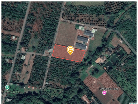 Bán đất 4130.6m² 3.6 tỷ tại Xã Hòa Xuân Thành phố Buôn Ma Thuột
