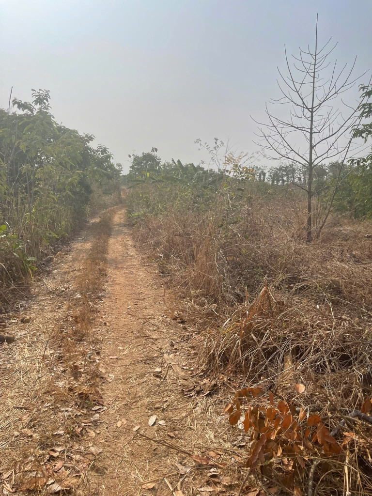 Bán đất tại xã Hoà Xuân, tp Buôn Ma Thuột, tỉnh Đắk Lắk