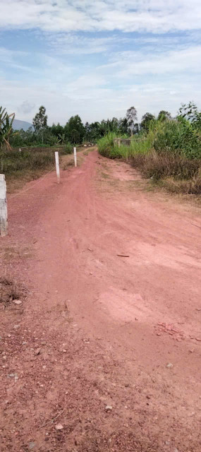 LÔ ĐẤT GIÁ RẺ – THÔN AN LỘC, HOÀI THANH, HOÀI NHƠN SỔ SẴN – DIỆN TÍCH LỚN – CHỈ 700 TRIỆU