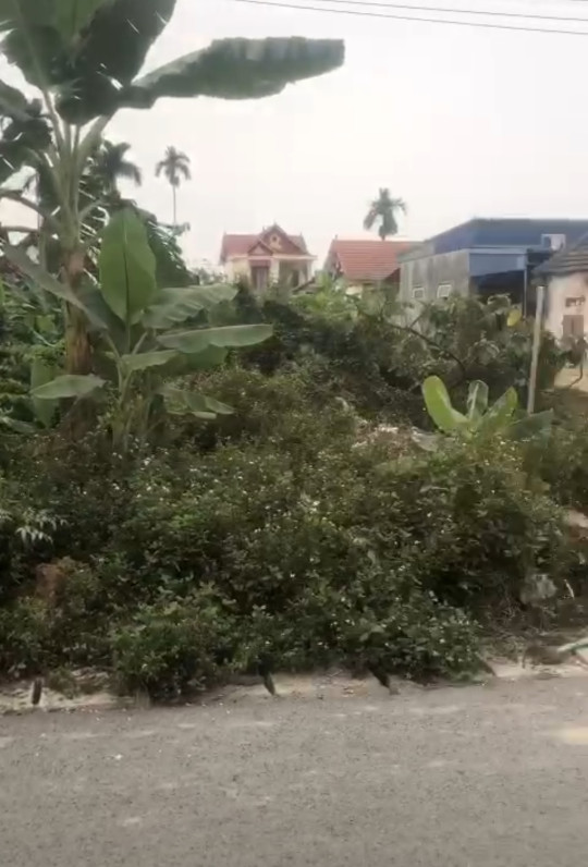 Bán đất 150m² mặt đường nhựa 7m. 2.45 tỷ tại Xã Hoàng Động Huyện Thuỷ Nguyên. liên hệ 0362558882