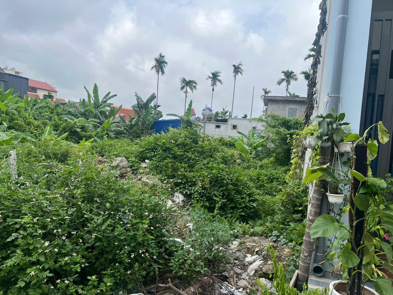 Bán đất 107m² 1.7 tỷ , Hoàng Động Thuỷ Nguyên. liên hệ 0362558882