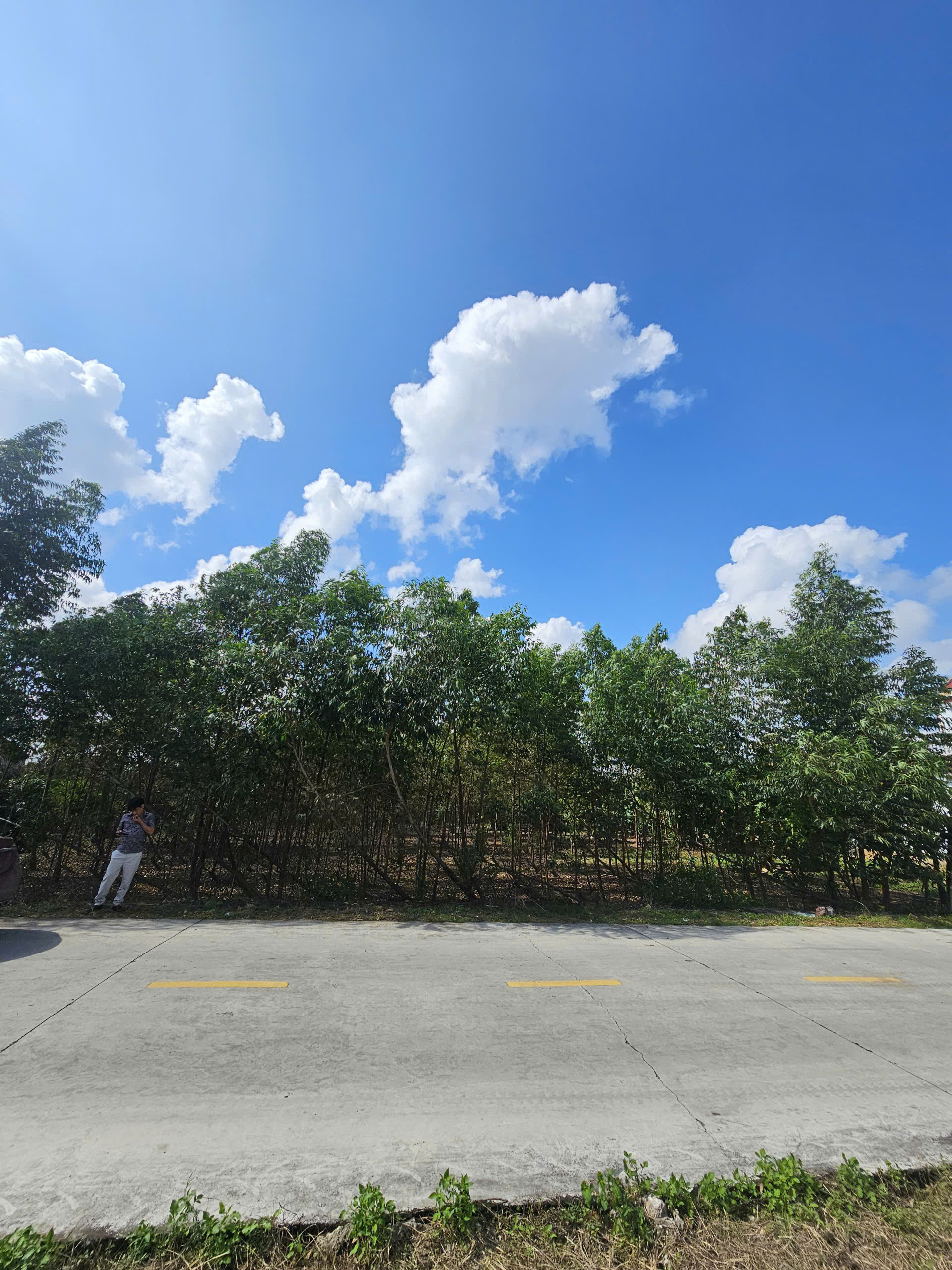 Bán lô đất có diện tích lớn 1500m2 tại KDC Tân Tiến, Phường Hoàng Tiến, TP Chí Linh, HD.