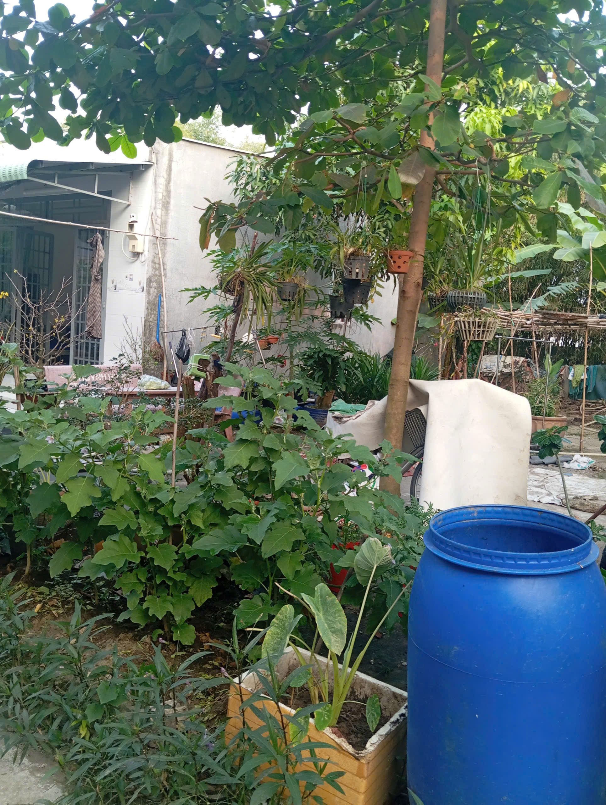 Bán đất 120m² full thổ cư ngang 8.90m giá 2.45 tỷ tại Xã Hóc Môn