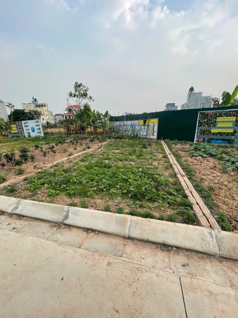 Bán đất 45.5m² ngang 7.08m giá 819 triệu Xã Hồng Sơn