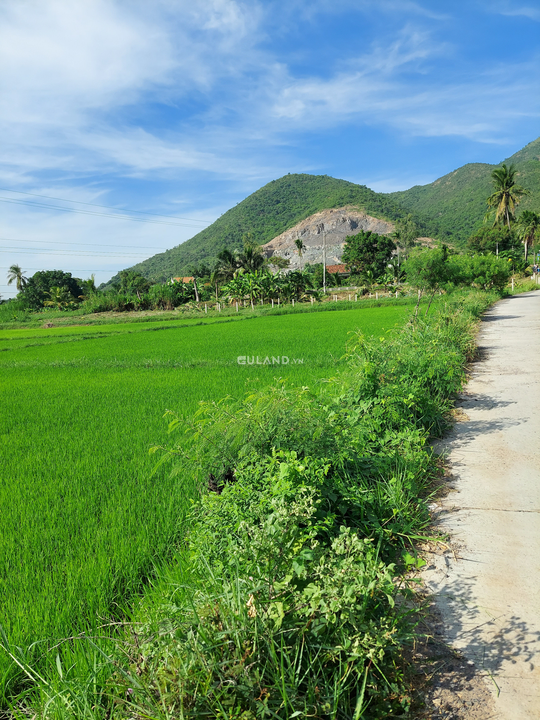 Bán đất nông nghiệp 4500m² mặt tiền bê tông,sau wieu bàu nước, giá 1.9 tỷ tại, Xã Hồng Sơn, Huyện Hàm Thuận Bắc, Bình Thuận