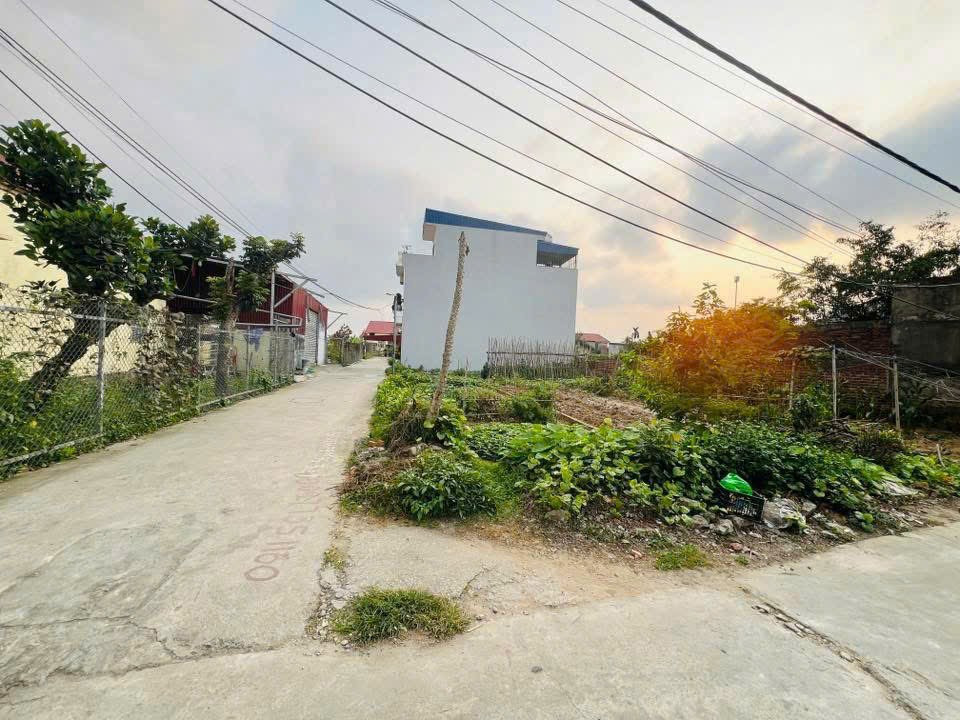 lô góc 58m2 giá 1,4x tỷ. Hồng Thái, An Dương. liên hệ 0362558882