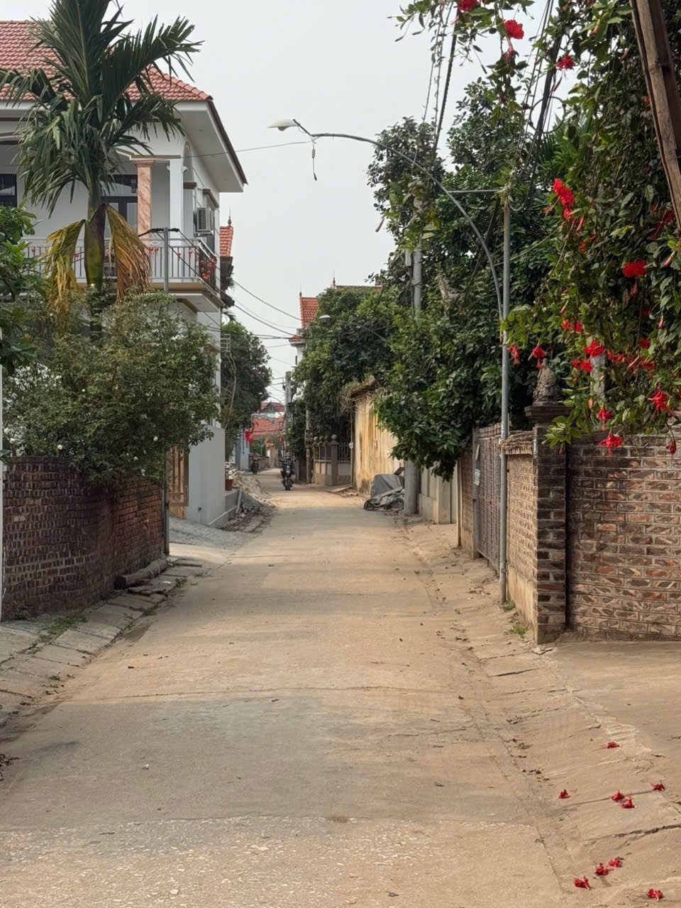 🌹🌹 DUYÊN YẾT, HỒNG THÁI 🌹🌹