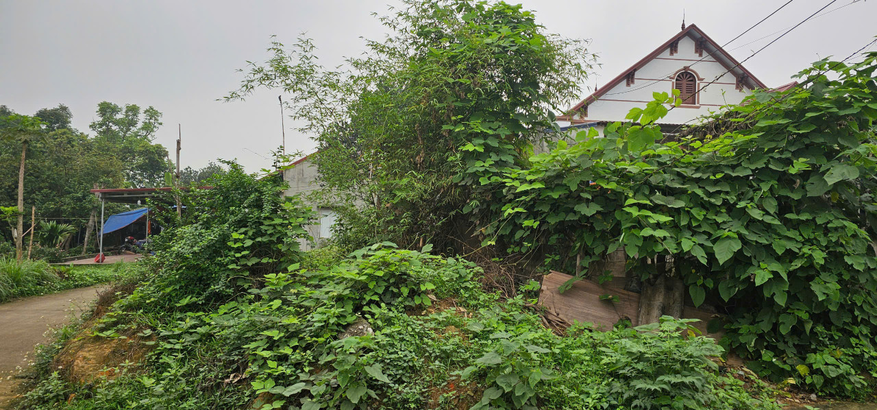 Bán Lô Đất Hồng Tiền Cách Mặt Đường 261 100M Phường Hồng Tiến, Phổ Yên, Thái Nguyên