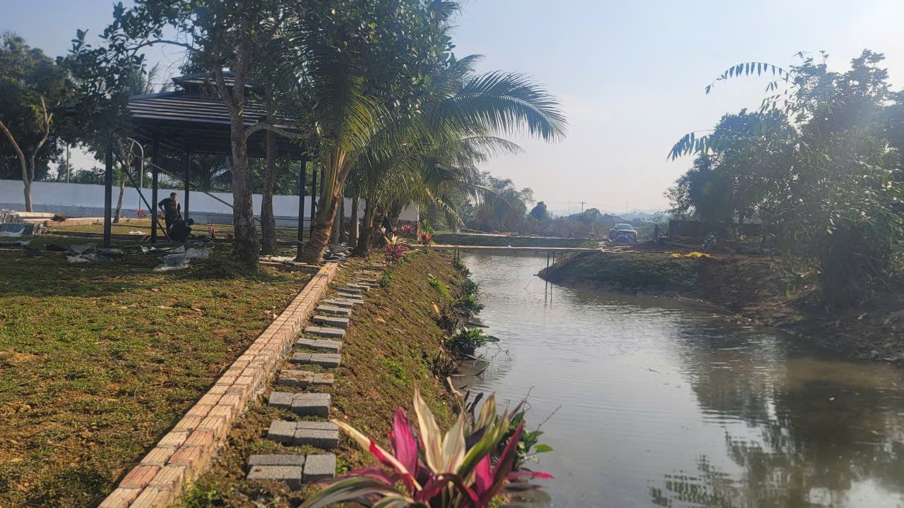 Hình 5