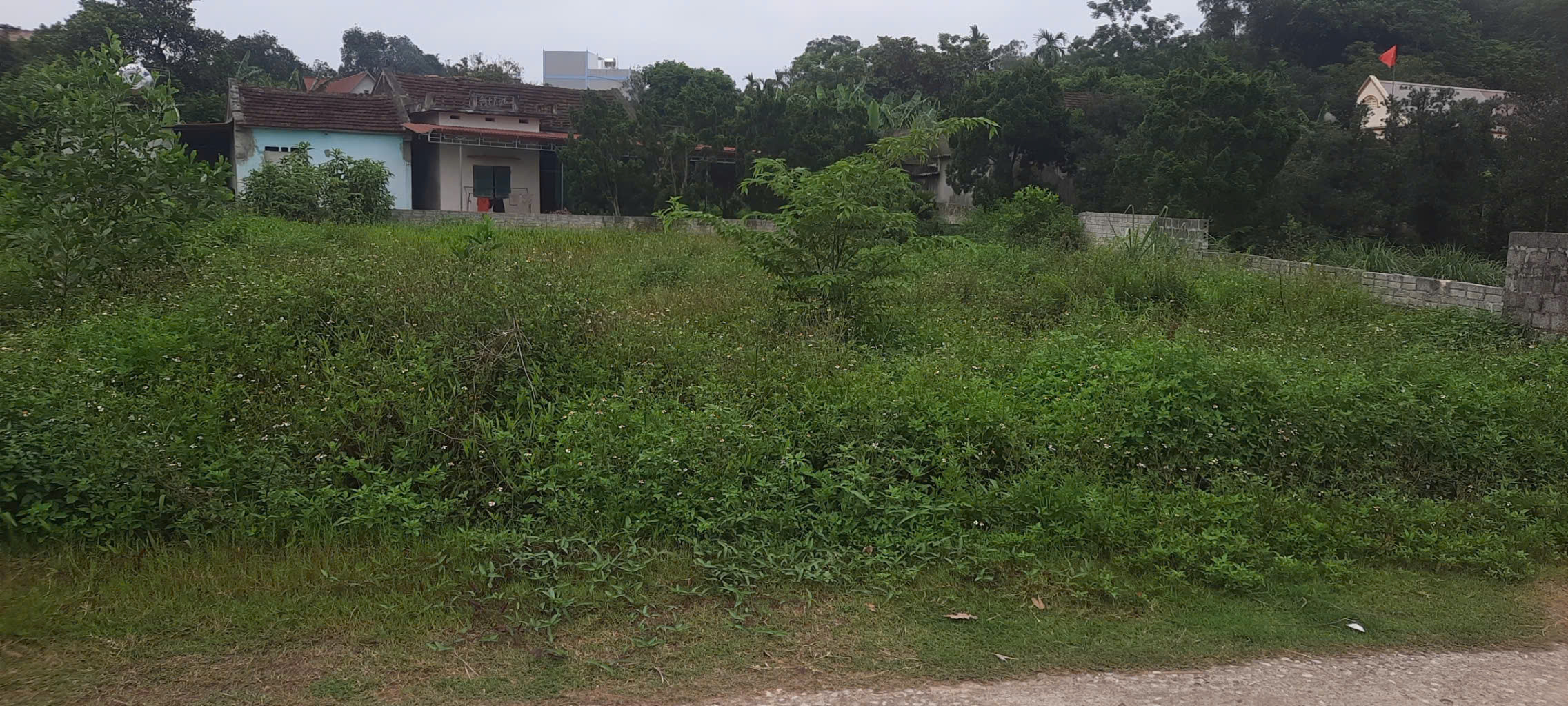Bán đất 136m² ngang 5.2m giá 590 triệu tại Xã Hợp Thắng Huyện Triệu Sơn - MG Linh