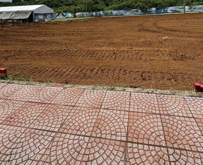 Bán đất 80m² giá 2.5 tỷ tại Xã Hưng Lộc Huyện Thống Nhất