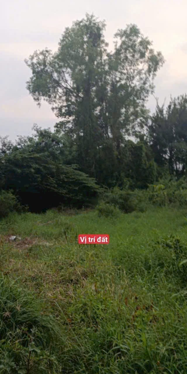 Bán đất 172m² có sẵn 143m² thổ cư ngang 5m giá 3.7 tỷ tại Xã Hưng Long