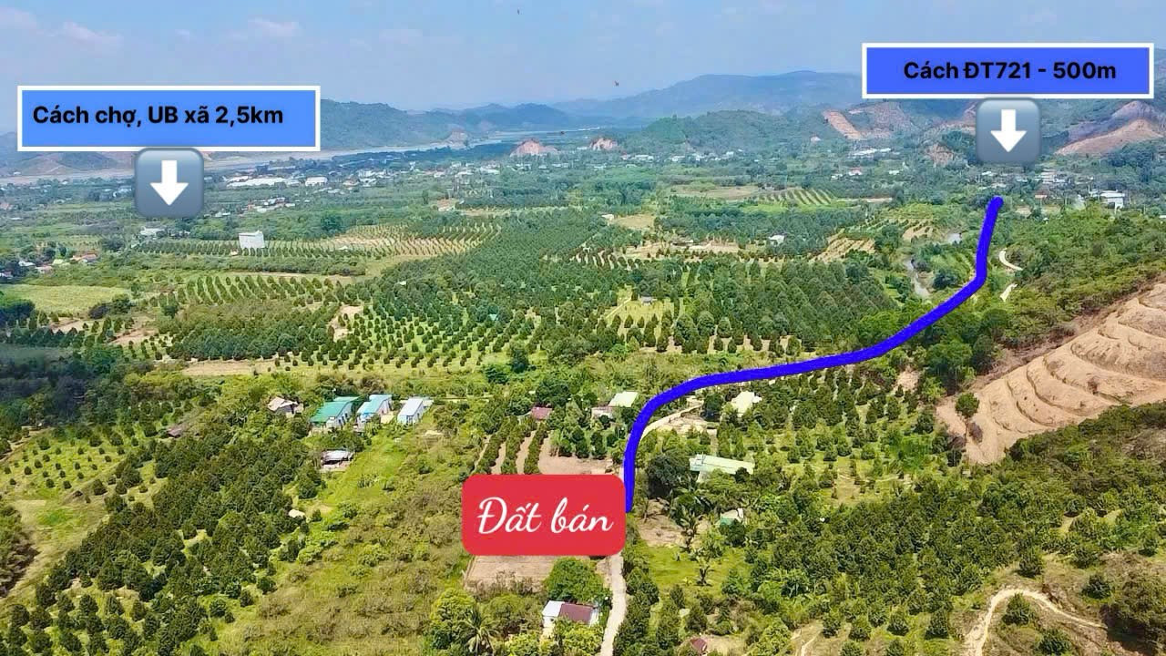 Bán đất 230m² 279 triệu tại Xã Hương Lâm Huyện Đạ Tẻh