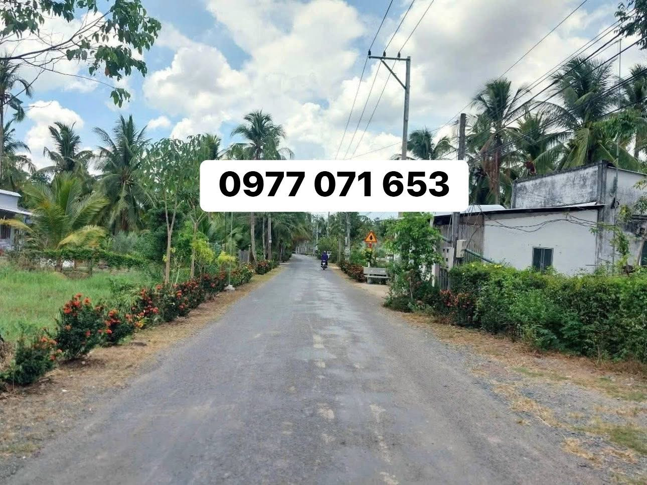 Bán đất mặt tiền huyện lộ 22 xã Hương Mỹ