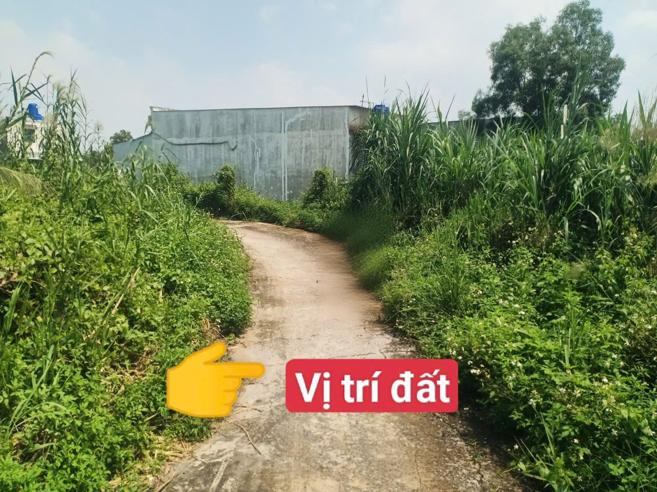 Cần bán nền đất thổ cư hựu Thạnh đức hòa Long an