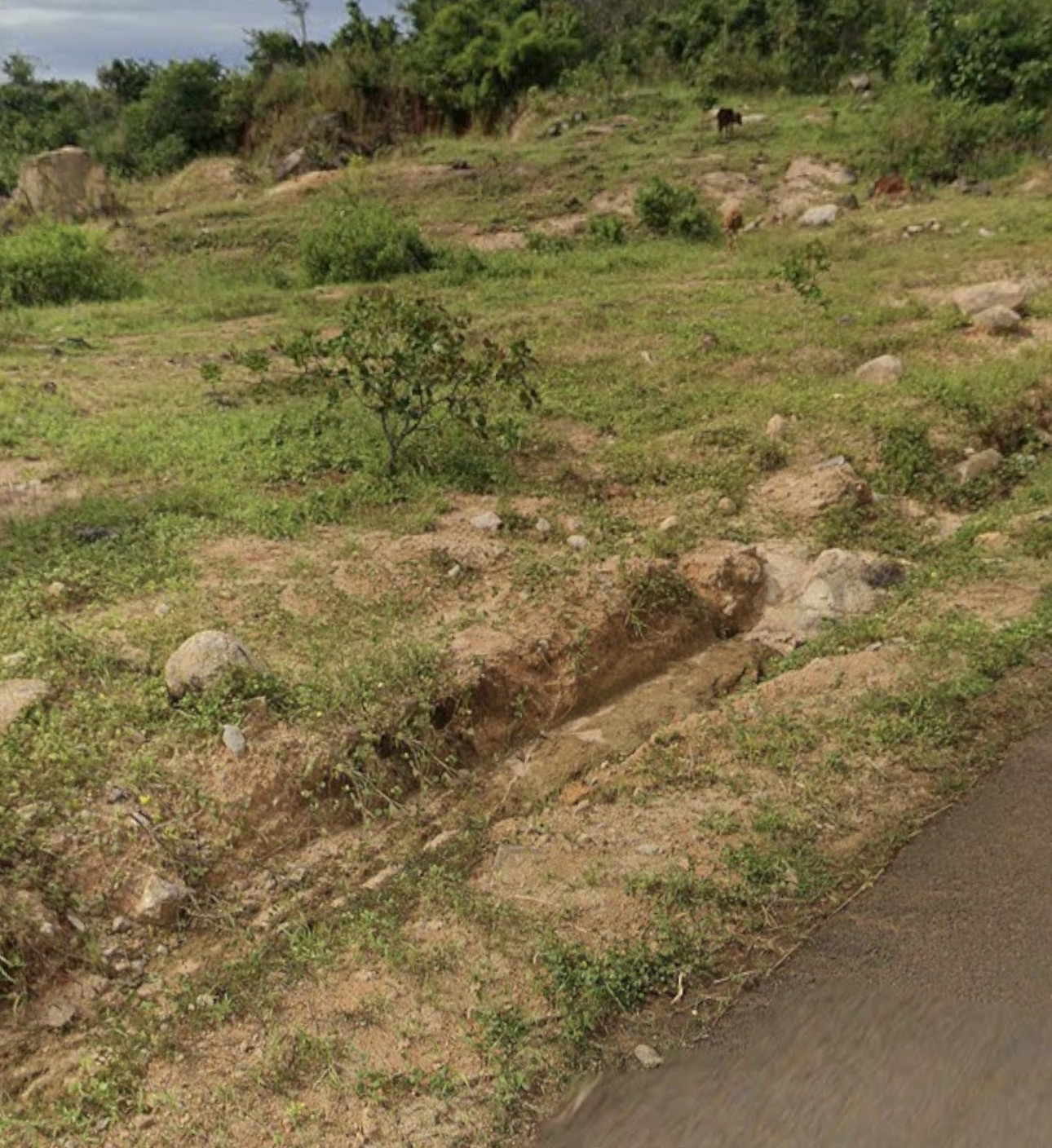 🌍 Hơn 9.000m2 đất mặt tiền đường tránh