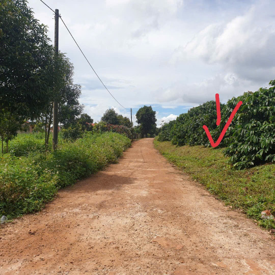 Đất thổ cư 1000m² ngang 15m giá 380 triệu tại xã Trang, Đăk Đoa, Gia Lai