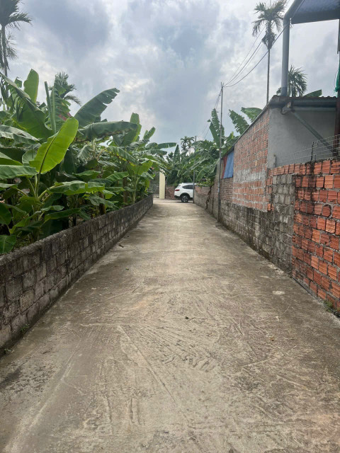 F0 kênh giang Thủy Nguyên dt 73m ngang 4,29 giá chỉ 9xxtr lh ngay 0382341632 zalo em Liên