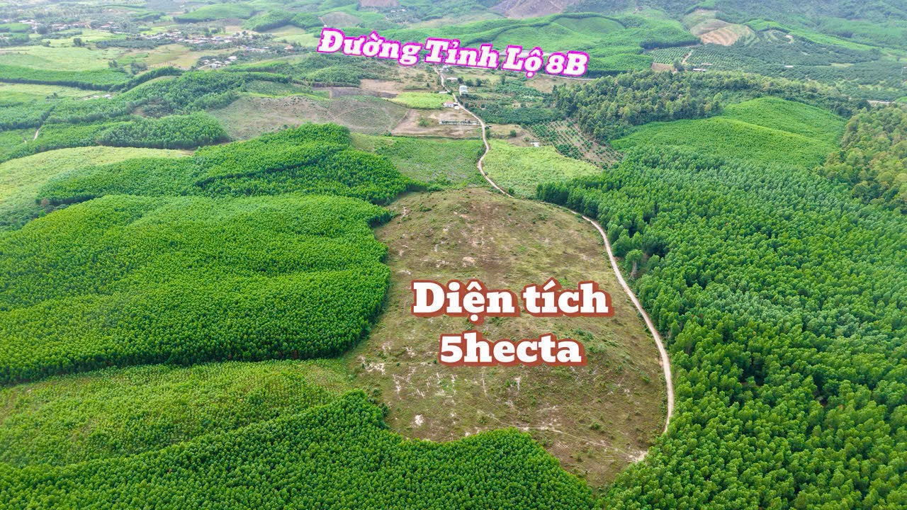 Cần  bán 5 hecta đất xã Khánh Trung (Khánh Vĩnh) , tỉnh Khánh Hoà , Gần tỉnh lộ 8B . Giá tốt 7,5 tỷ bao giấy tờ