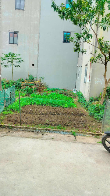 ĐẤT-ĐH CÔNG NGHIỆP-LAI XÁ 45M 3.8 T.Ỷ CÓ THƯƠNG LƯỢNG, Ô TÔ ĐỖ CỬA, NGÕ THÔNG,