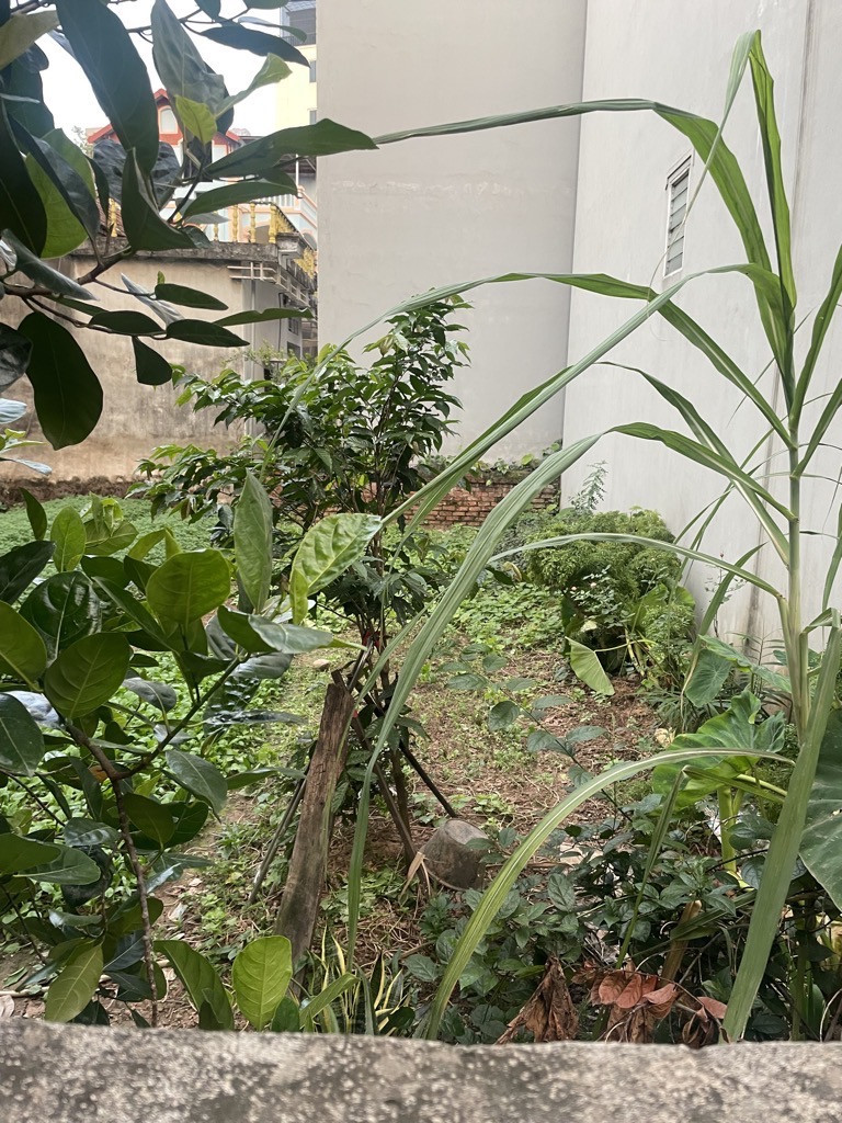 💥50,9m2 Đất Kim Hoàng Vân Canh - ko quy hoạch - ngõ nông