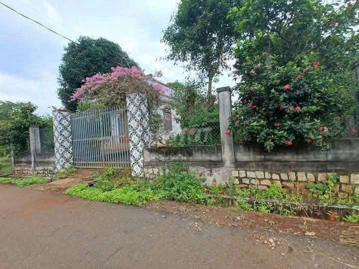 Bán đất 150m² ngang 5m giá 690 triệu Xã Kim Long