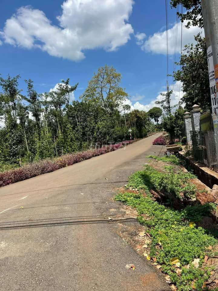 Bán đất 111.9m² ngang 5.56m giá 550 triệu Xã Kim Long