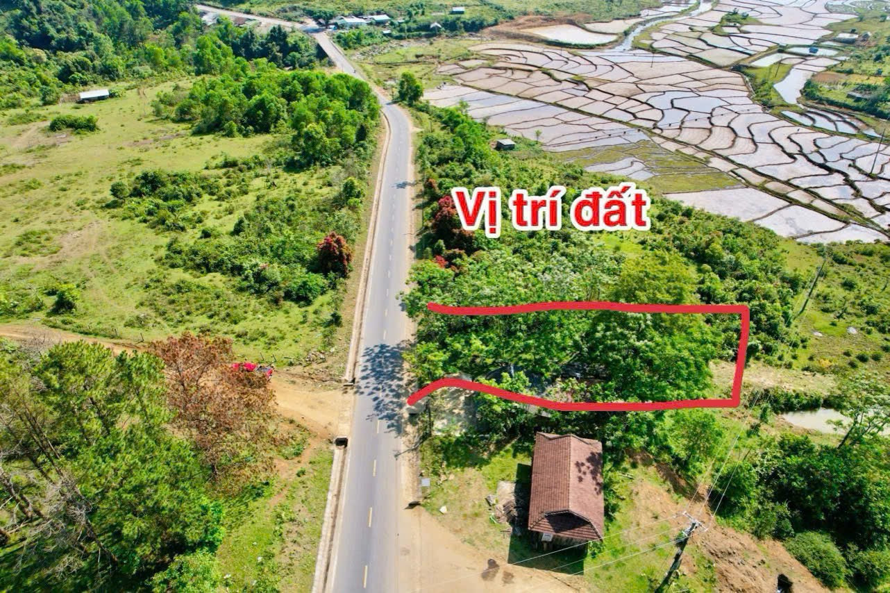 Đất đường Nhựa 1058m² ngang 14m giá 1.05 tỷ Xã Kon Plông