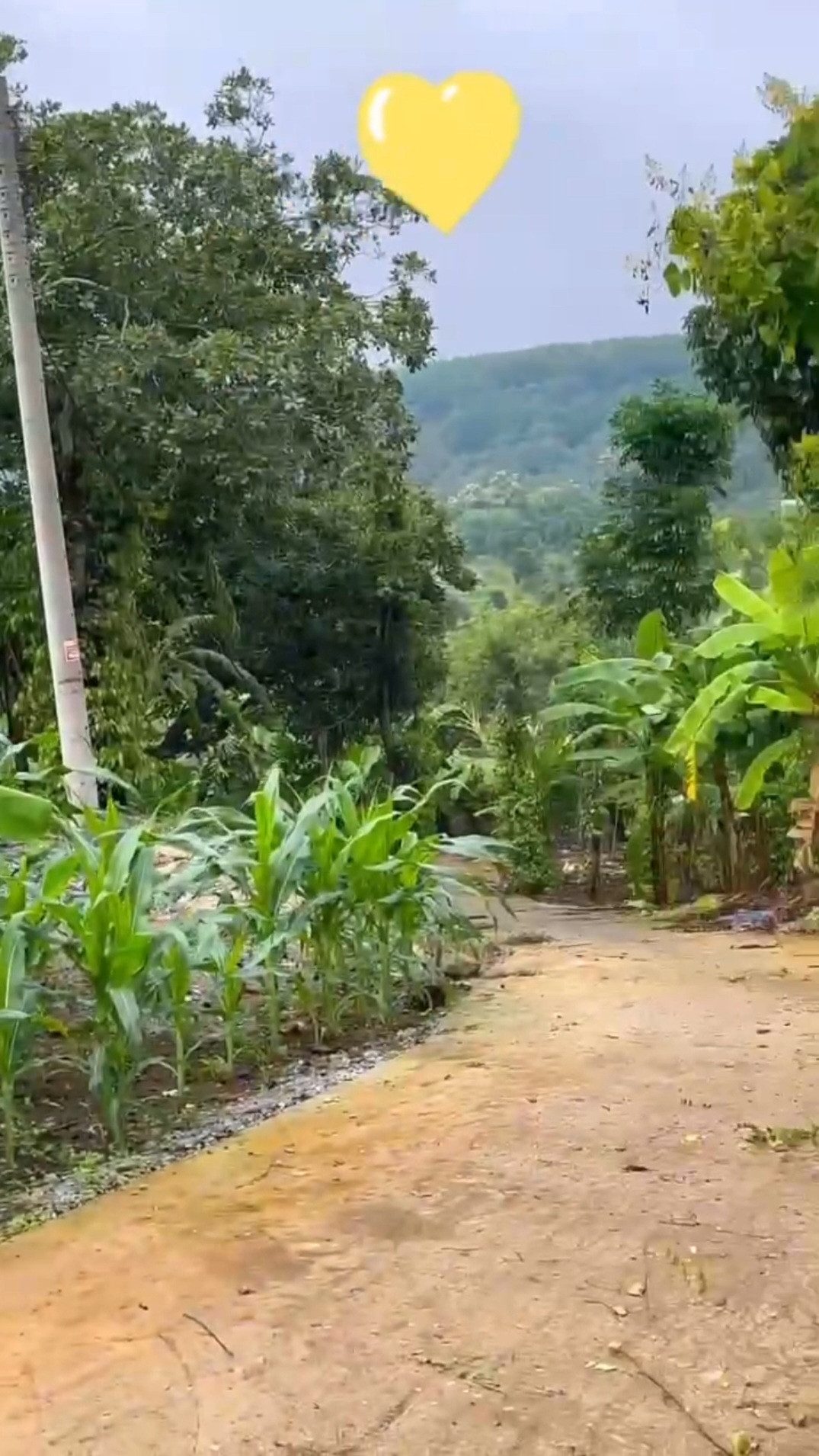Cần tiền xoay sở