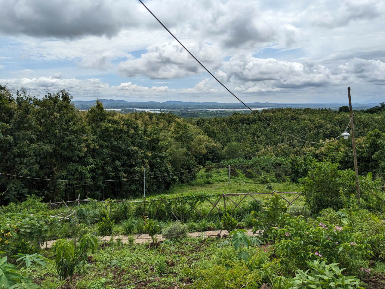 🏡 Cơ hội sở hữu đất vườn tuyệt đẹp ven Hồ Trị An - Sông La Ngà, pháp lý rõ ràng, sổ riêng từng nền!🏡